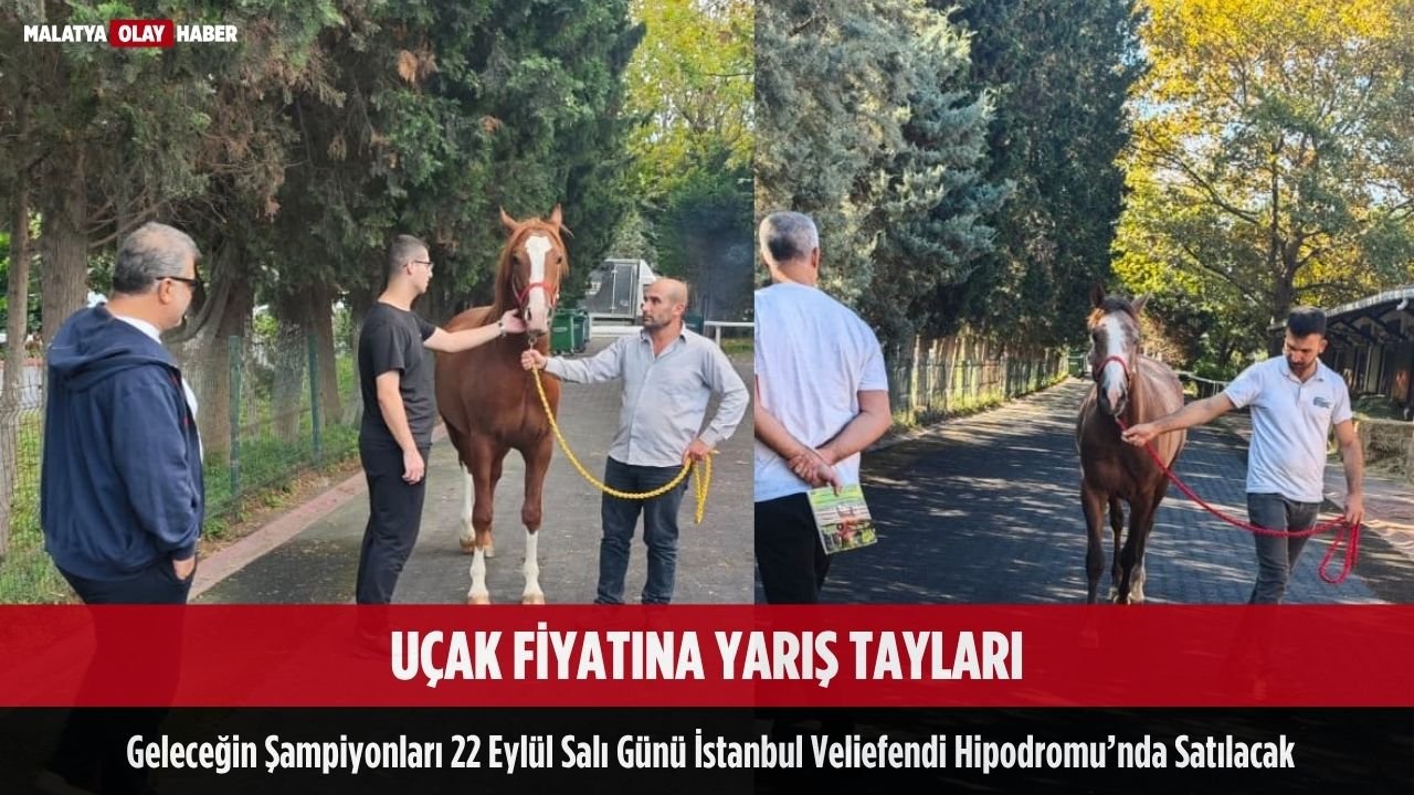 Malatya Sultansuyu'nun şampiyon adayları vitrine çıkıyor 1