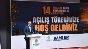 vali seddar yavuz