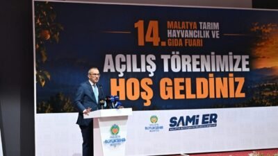vali seddar yavuz