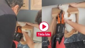 itfaiye kediyi boyle kurtardi
