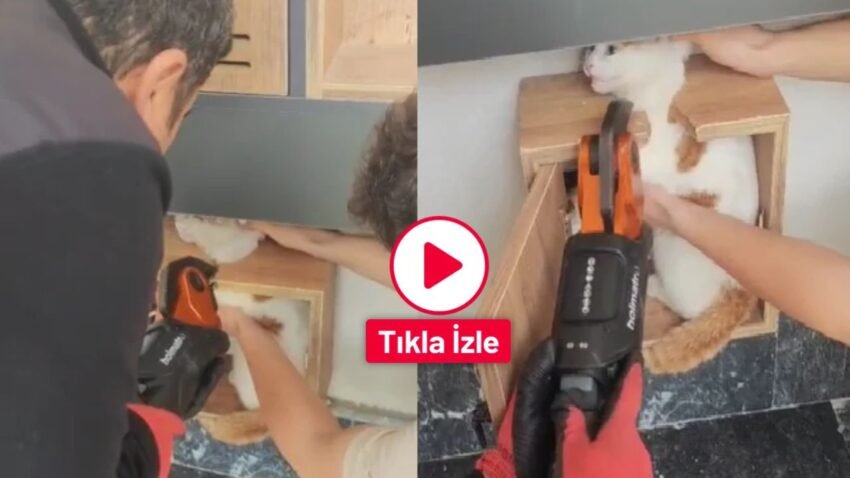 Malatya’da Posta Kutusuna Sıkışan Kedi Böyle Kurtarıldı